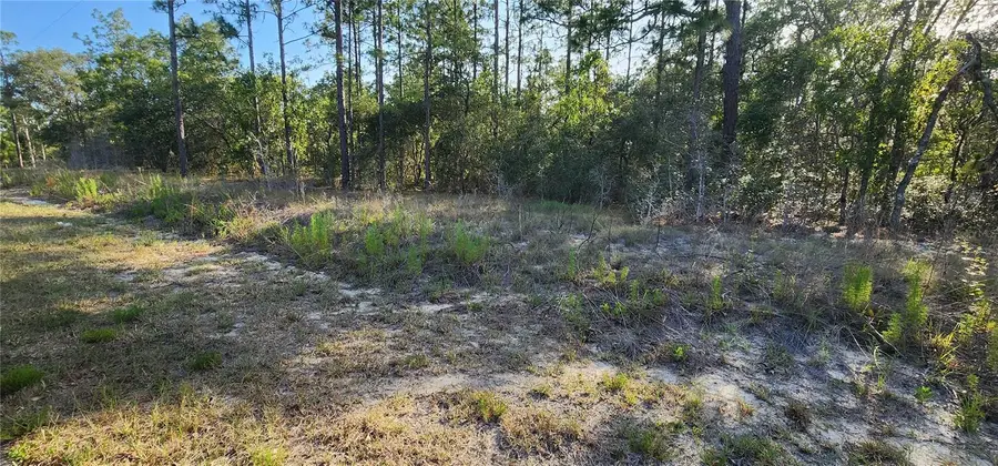 Lots 6 and 7 SW Hillcrest Avenue, Dunnellon, FL 34431 - #3
