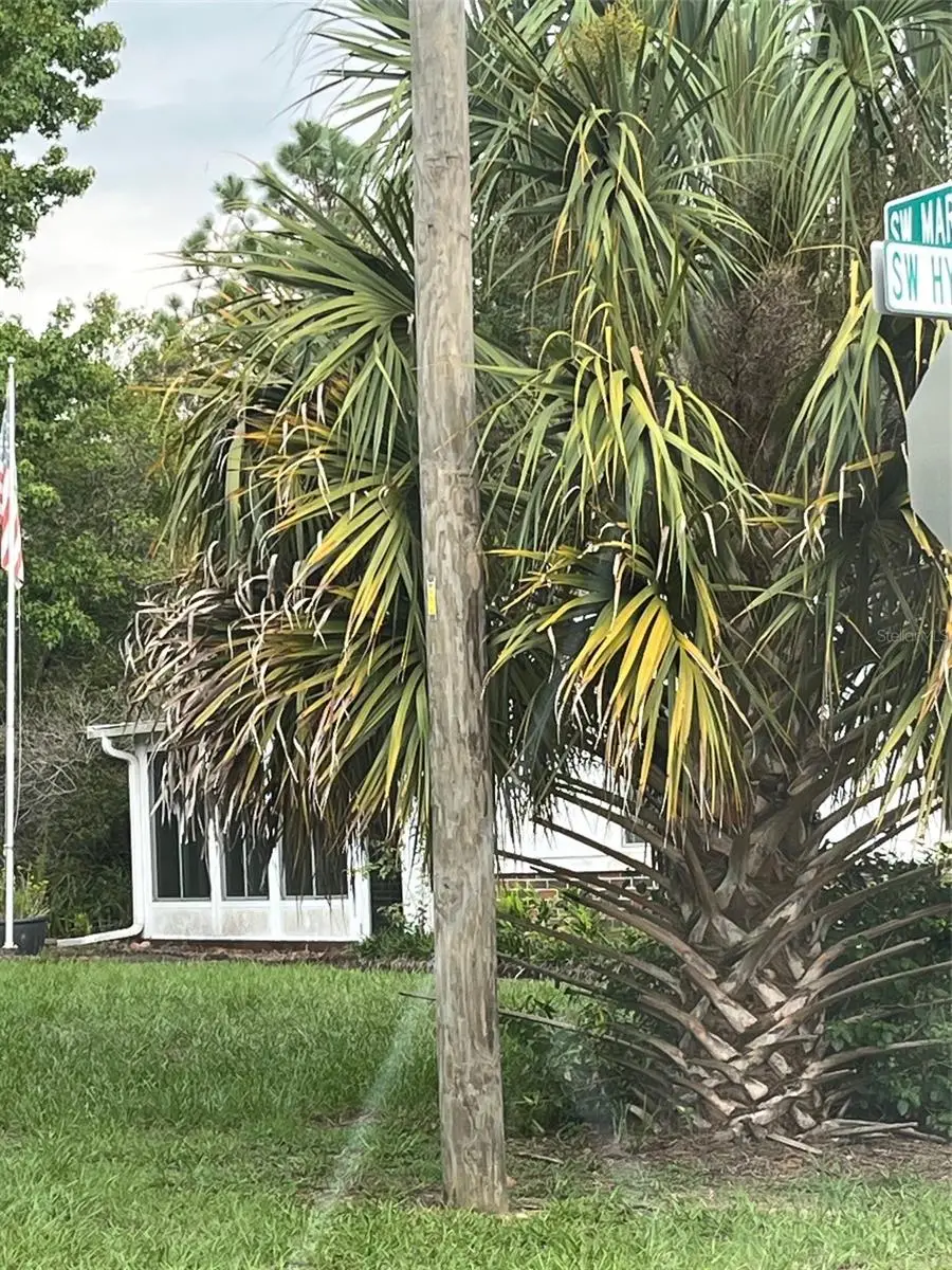 TBA SW Marine Blvd, Dunnellon, FL 34431 - #3