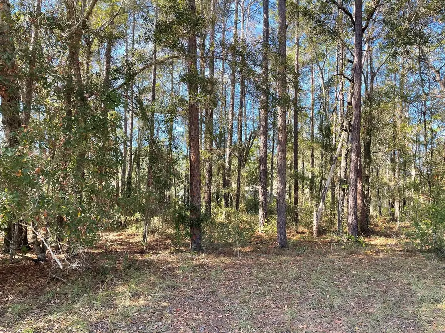 10380 N Sherman Drive, Citrus Springs, FL 34434 - Image #2