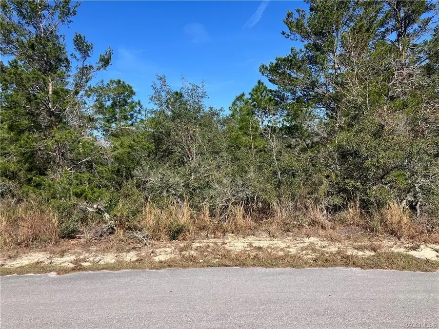 19 Rudbeckia Court, Homosassa, FL 34446 - Image #2