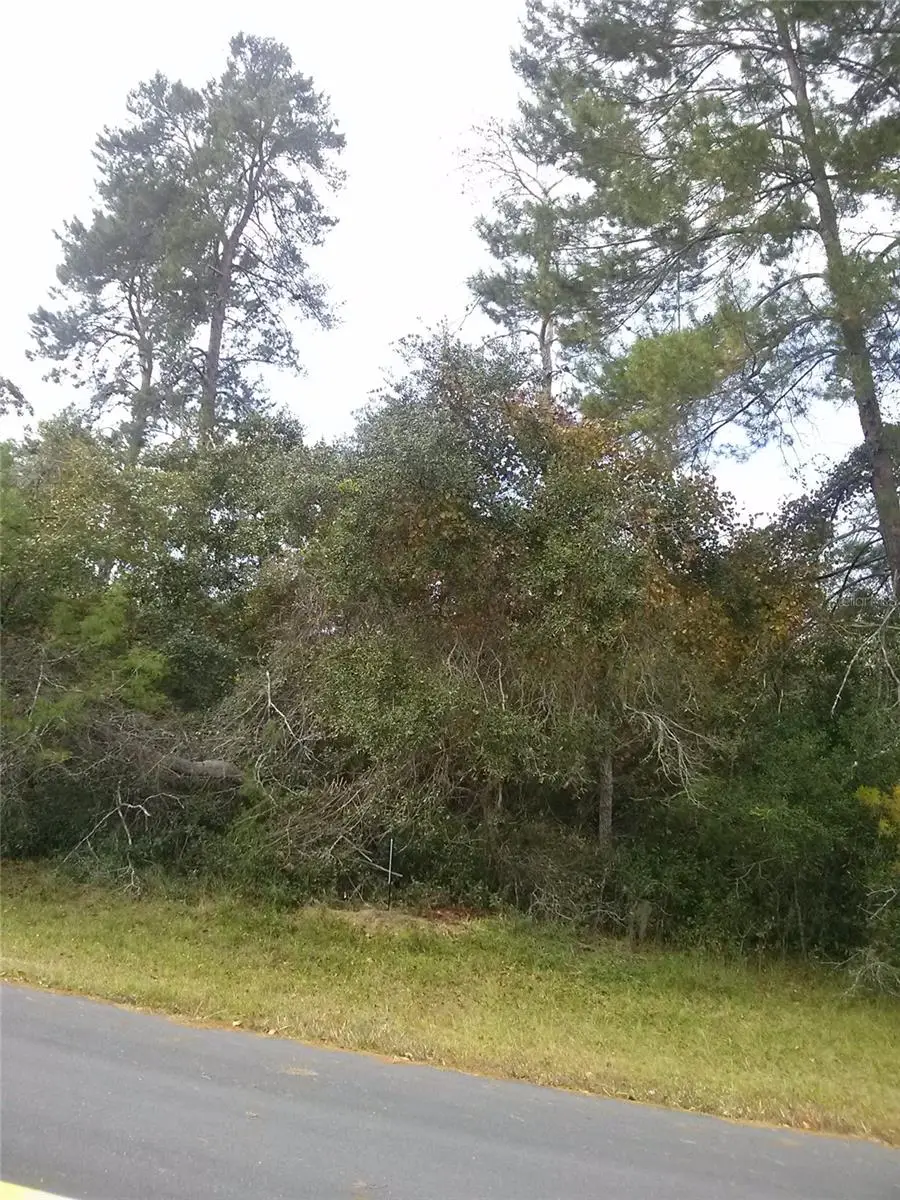 00 Marion Oaks Boulevard, Ocala, FL 34473 - #2