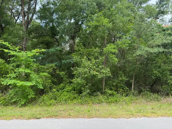 Lot 14 SW Chanel Heights Court, DUNNELLON, FL 34431