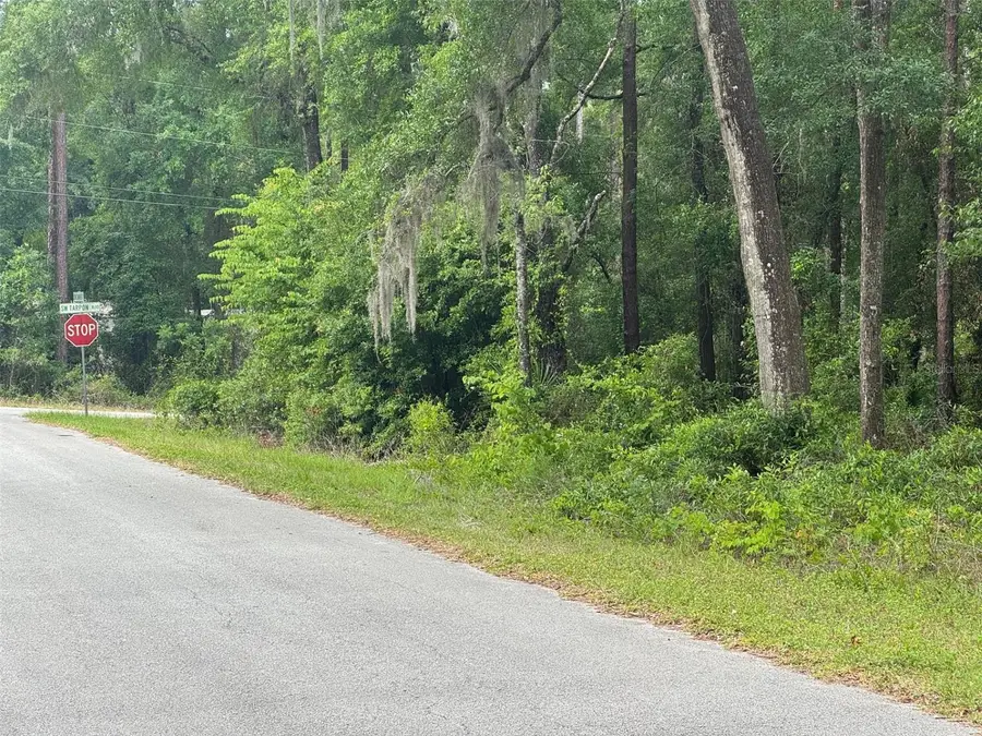 Lot 14 SW Chanel Heights Court, Dunnellon, FL 34431 - #2