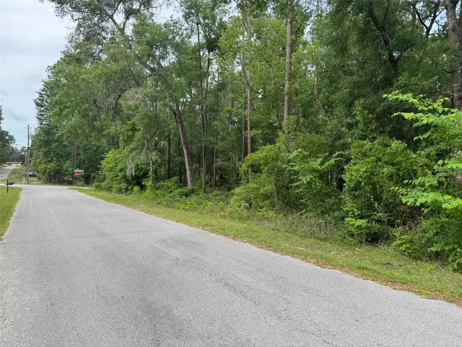 Lot 14 SW Chanel Heights Court, Dunnellon, FL 34431 - #3