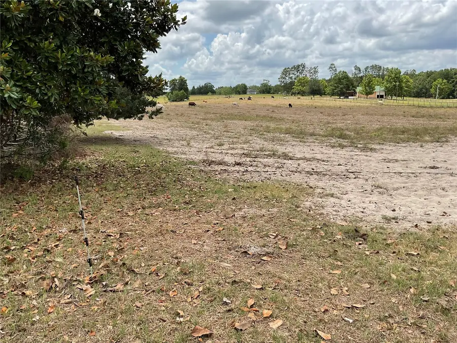 9750 NE 49th Street, Bronson, FL 32621 - Image #2