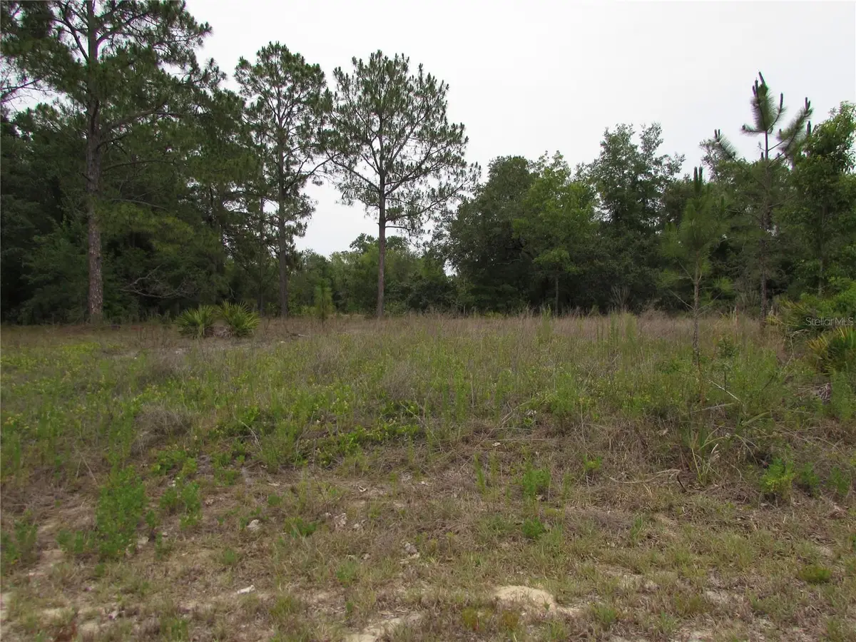 Lot 40 SW South Wind Court, Dunnellon, FL 34431 - #1