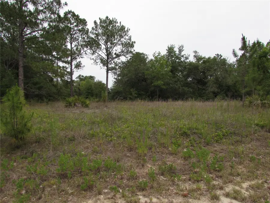 Lot 40 SW South Wind Court, Dunnellon, FL 34431 - #2
