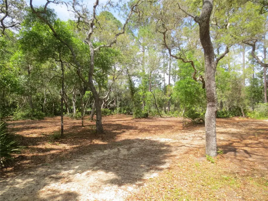 0 SE 10th Street, Silver Springs, FL 34488 - Image #2