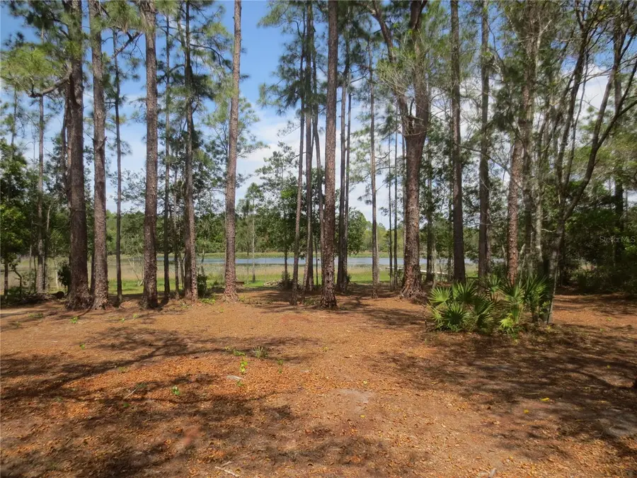 0 SE 10th Street, Silver Springs, FL 34488 - Image #3