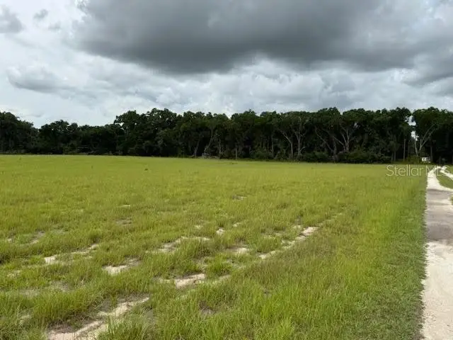 NE 141, Citra, FL 32113 - Image #3
