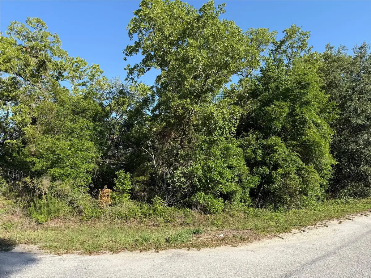 TBD SE 154th Street, Summerfield, FL 34491 - #1