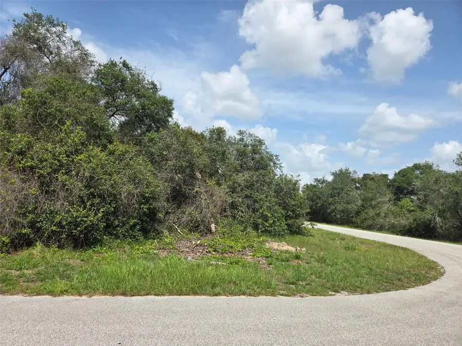 000 SW 153rd Loop, Ocala, FL 34473 - Image #2