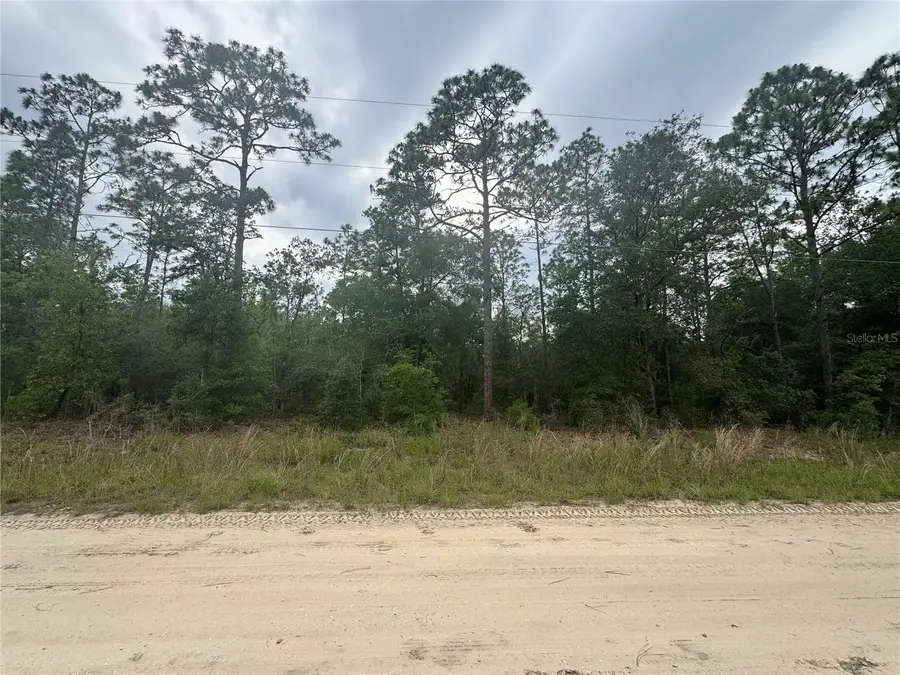 TBD SW 159 Court, Ocala, FL 34481 - #2