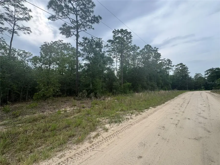 TBD SW 159 Court, Ocala, FL 34481 - #3