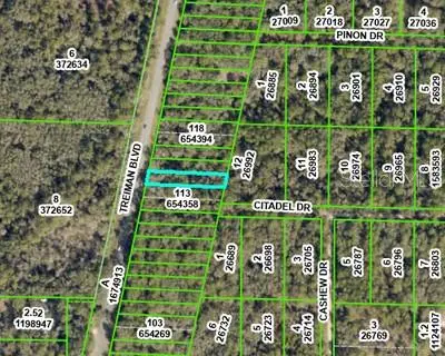 8388 Treiman Boulevard, Webster, FL 33597 - Image #3