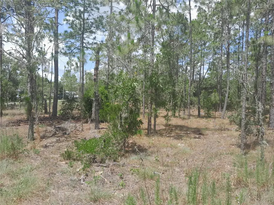 TBD NE 149th Court, Williston, FL 32696 - Image #3