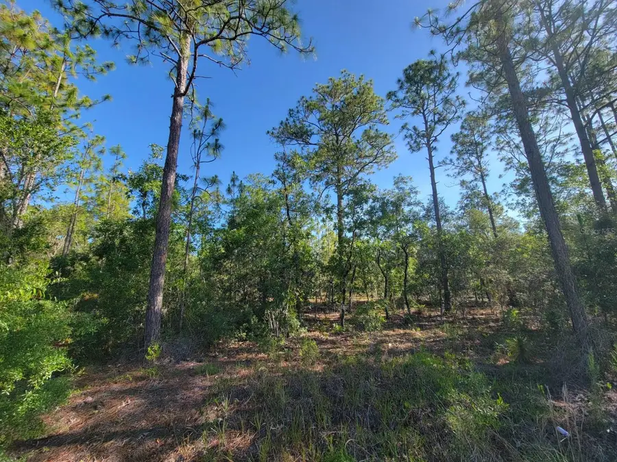 SW Edgewater, Dunnellon, FL 34431 - Image #2