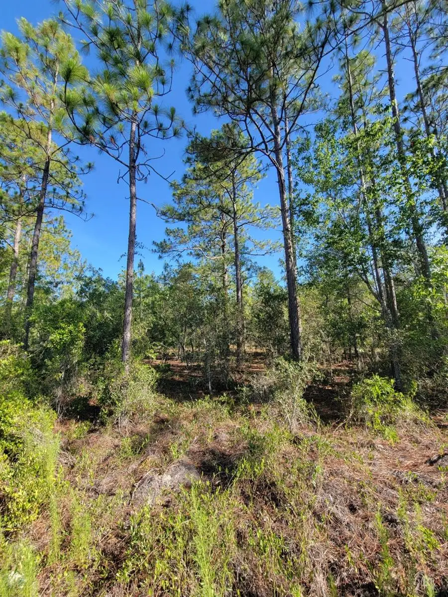 SW Edgewater, Dunnellon, FL 34431 - Image #3