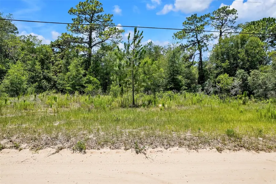 620 S Fairlane Terrace, Lecanto, FL 34461 - Image #2