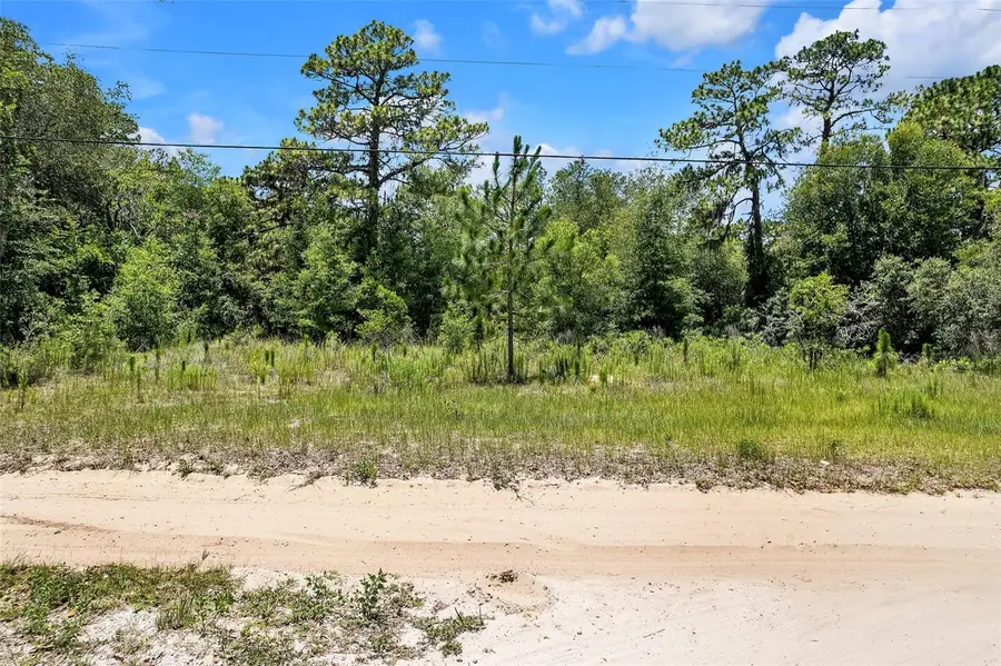 620 S Fairlane Terrace, Lecanto, FL 34461 - Image #3