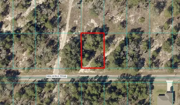 TBD LOT 12 Malauka Track, OCKLAWAHA, FL 32179
