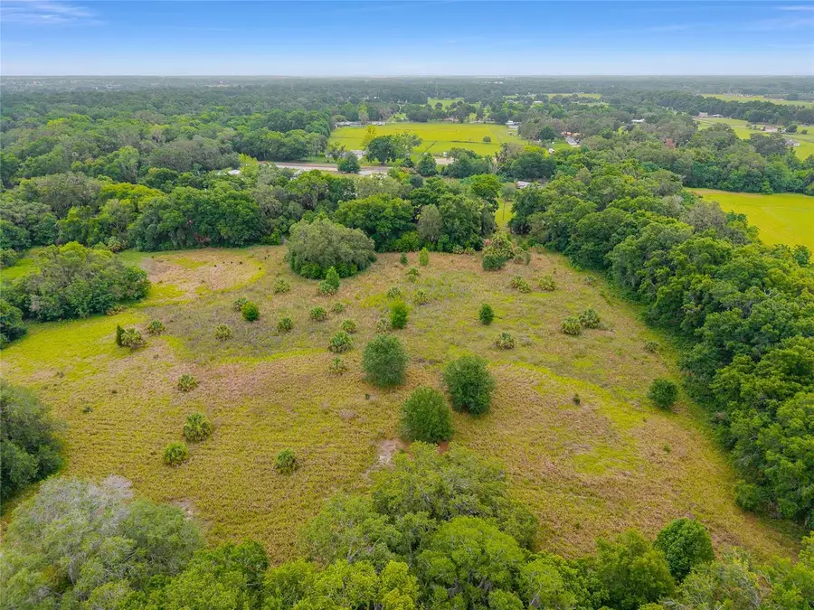 TBD S Highway 301, Summerfield, FL 34491 - #3
