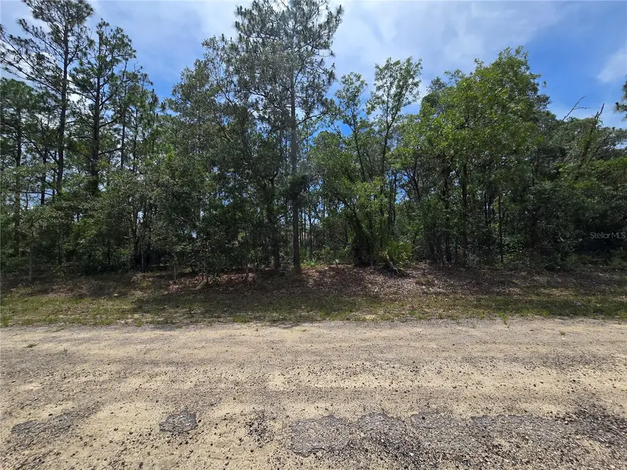 6468 N Baylor Terrace, Dunnellon, FL 34433 - Image #3