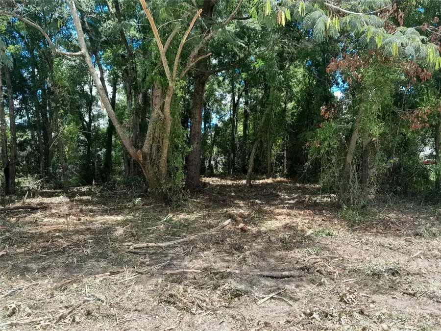 tbd NE 48th Street, Williston, FL 32696 - Image #2