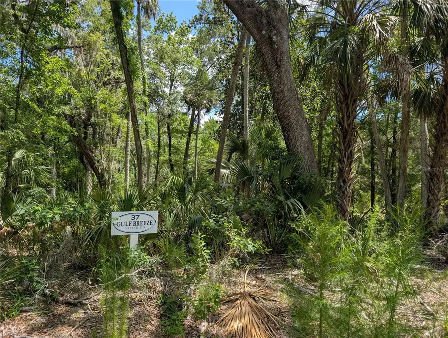 13159 W Gulf Shores Street, Inglis, FL 34449 - Image #2