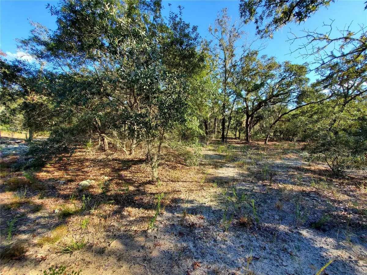 Lot 4 SW Paradise Heights Road, Dunnellon, FL 34431 - Image #1