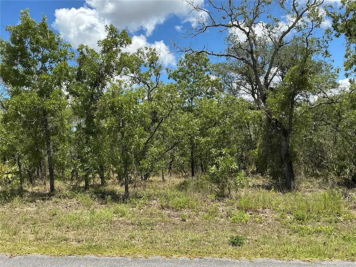 13022 Jaywalk Road, Weeki Wachee, FL 34614 - Image #1