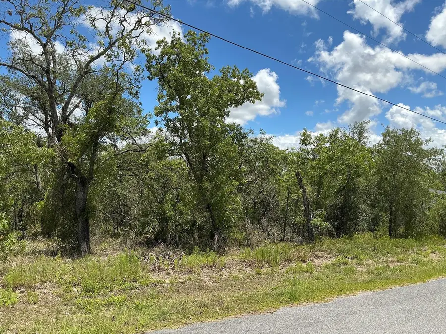 13022 Jaywalk Road, Weeki Wachee, FL 34614 - Image #3