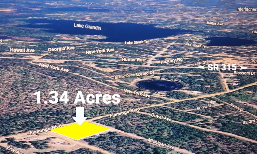 0 Flamingo Boulevard, Interlachen, FL 32148 - #2