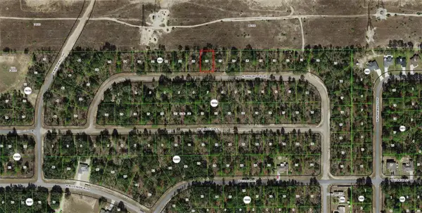 6745 N Darlington Drive, DUNNELLON, FL 34434