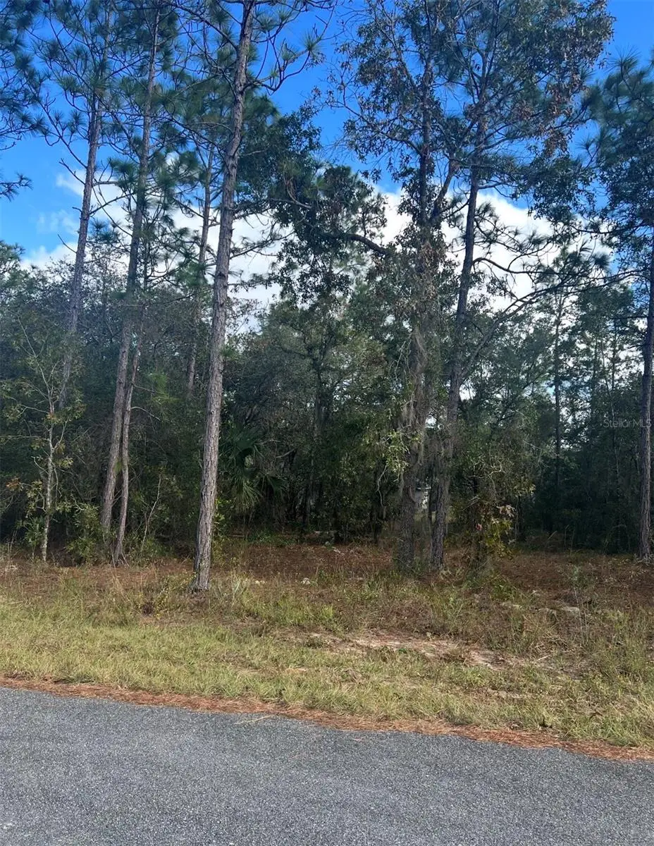 TBD Locust Loop Place Lot 7, Ocala, FL 34472 - #1