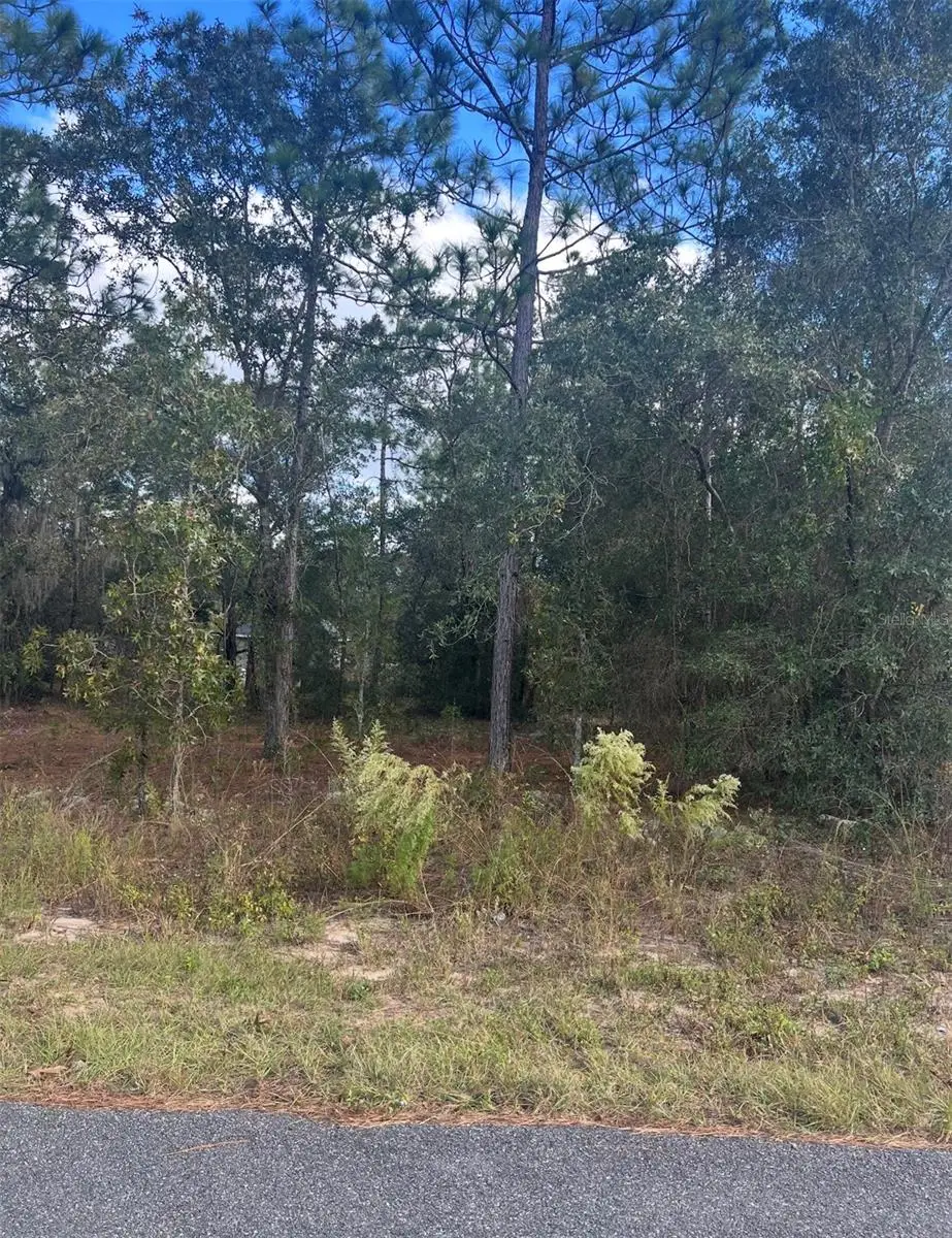 TBD Locust Loop Place Lot 8, Ocala, FL 34472 - #1