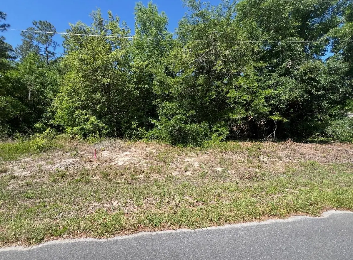 TBD Locust Course Radial Lot 20, Ocala, FL 34472 - #1