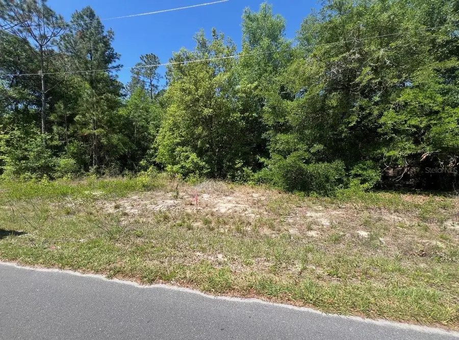 TBD Locust Course Radial Lot 20, Ocala, FL 34472 - #3