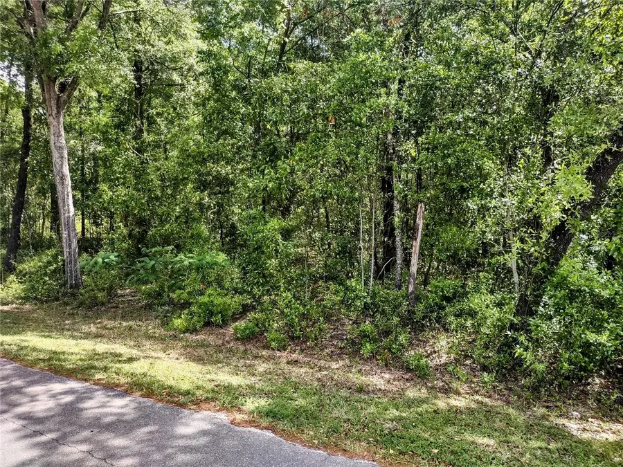 TBD NE 155th Court, Williston, FL 32696 - Image #3