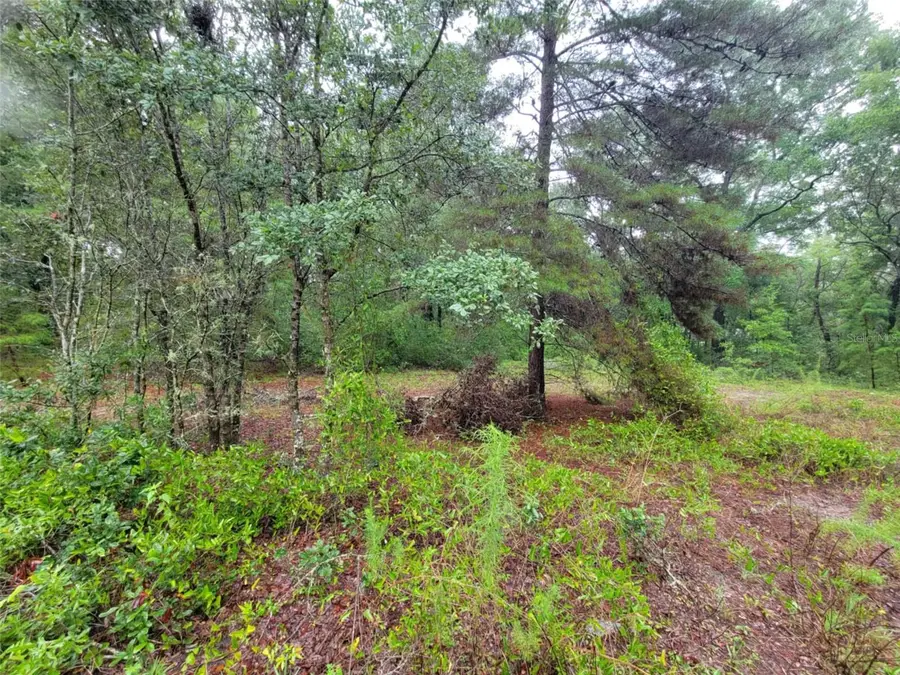 0 SW Driftwood Court, Dunnellon, FL 34431 - Image #3