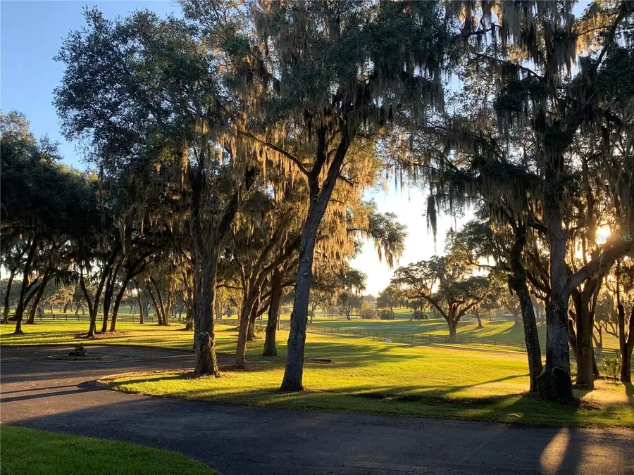 5540 Se 157th Street Road, Summerfield, FL 34491 - Image #3