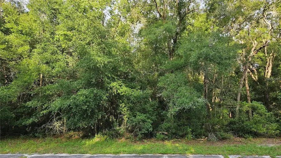 10147 N Dyal Drive, Citrus Springs, FL 34434 - Image #3