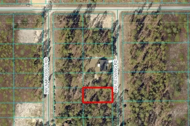 TBD NW Redwing Road, Dunnellon, FL 34431 - Image #1