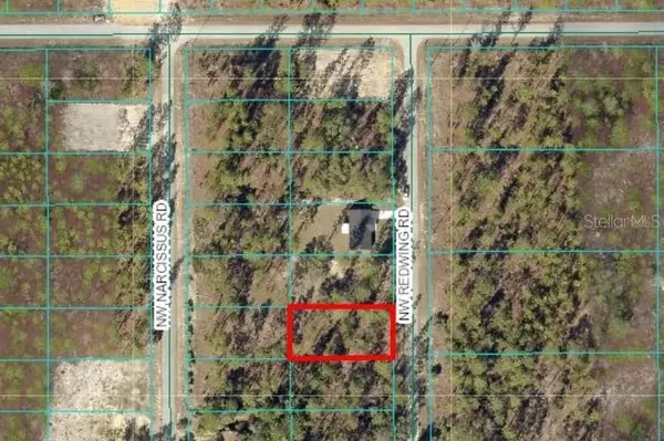 TBD NW Redwing Road, DUNNELLON, FL 34431