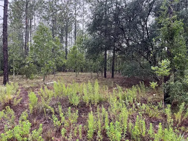 Lot 12 SE 136th Avenue, DUNNELLON, FL 34431