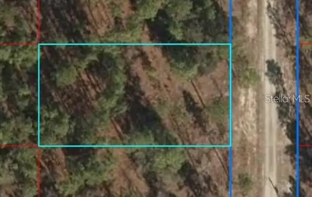 Lot 12 SE 136th Avenue, Dunnellon, FL 34431 - Image #3