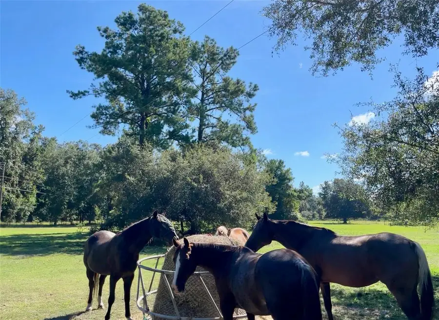 SW 107th Street, Archer, FL 32618 - Image #3