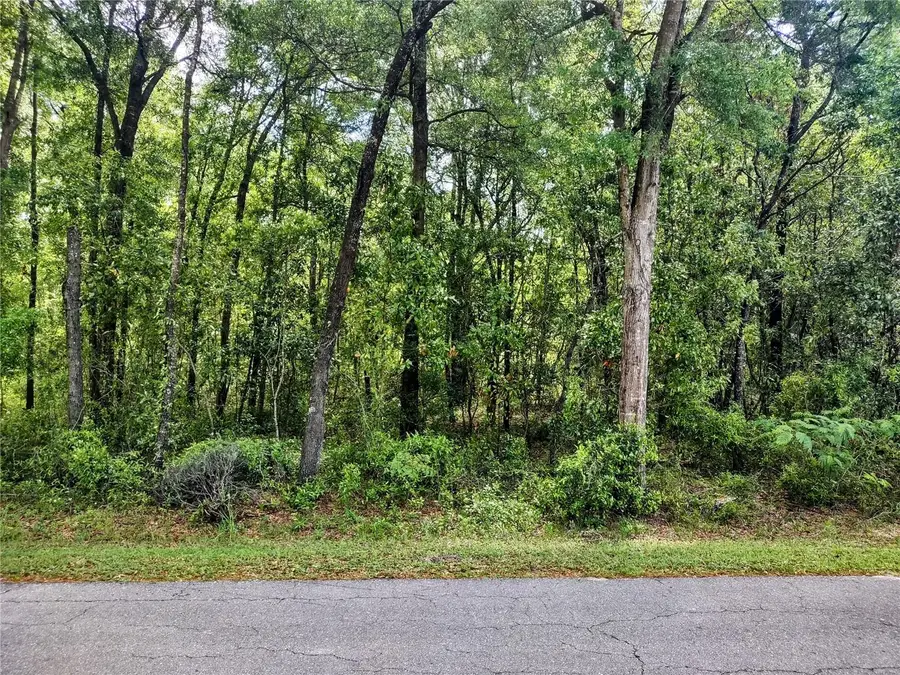 TBD NE 12th Lane, Williston, FL 32696 - Image #2