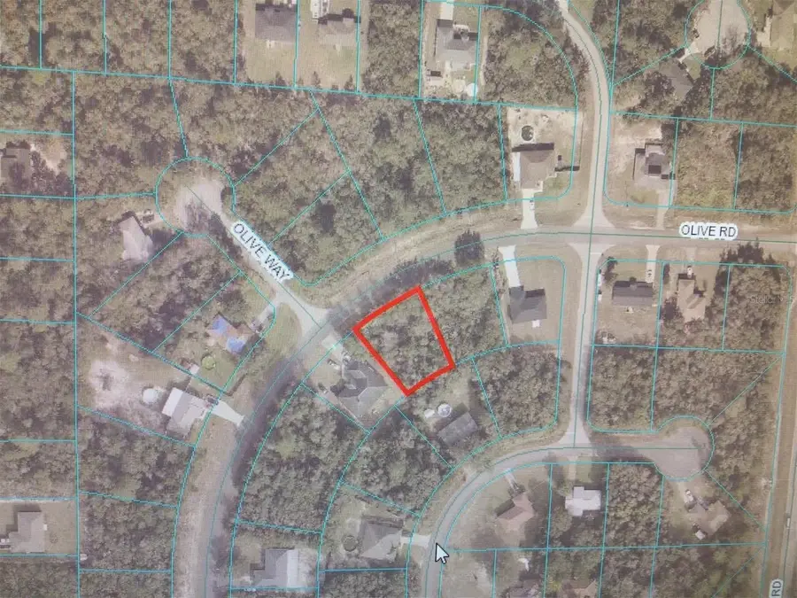 0 Olive Road, Ocala, FL 34473 - #3