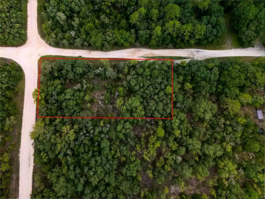 00 NE 110 Avenue, Bronson, FL 32621 - Image #2